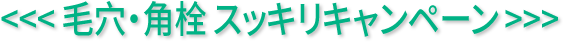 毛穴・角栓 スッキリキャンペーン