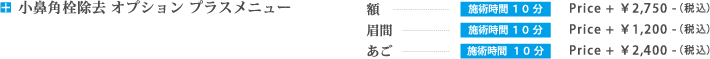 角栓除去オプション：施術時間+10分　額：2,500円、眉間：1,000円、顎：2,000円（税抜価格）